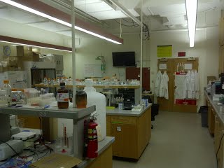 the left side of the lab