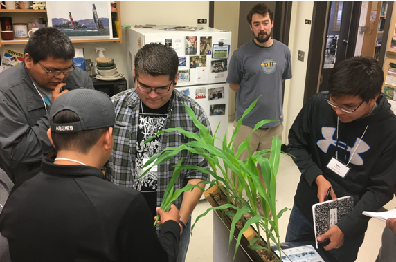 Summer 2017 8-week Plant-STEM REU