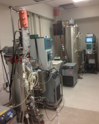 bioreactor