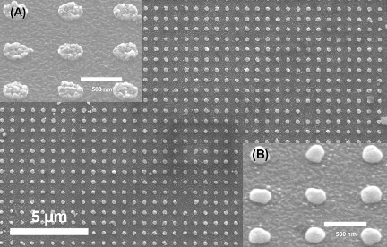 annealed array