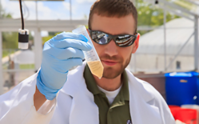 Researcher holding a test tube with yellow liquid