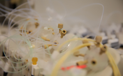 plastic strands