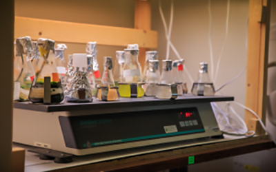 Multiple Test tubes sitting on a scale