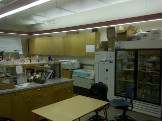 the right side of the lab