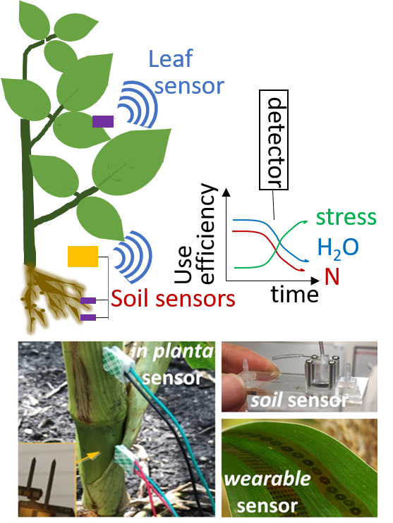 Novel on-plant or in-soil sensors for plant health