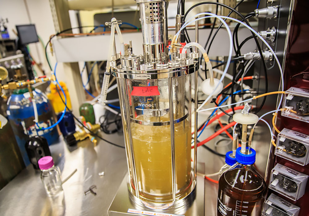 Yellow liquid in a labratory equipment