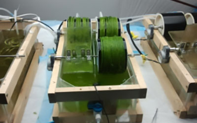 Growing Algae Biofilms system on rolling spindles