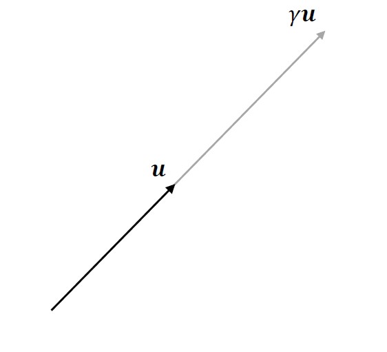 Geometric view of vector scaling