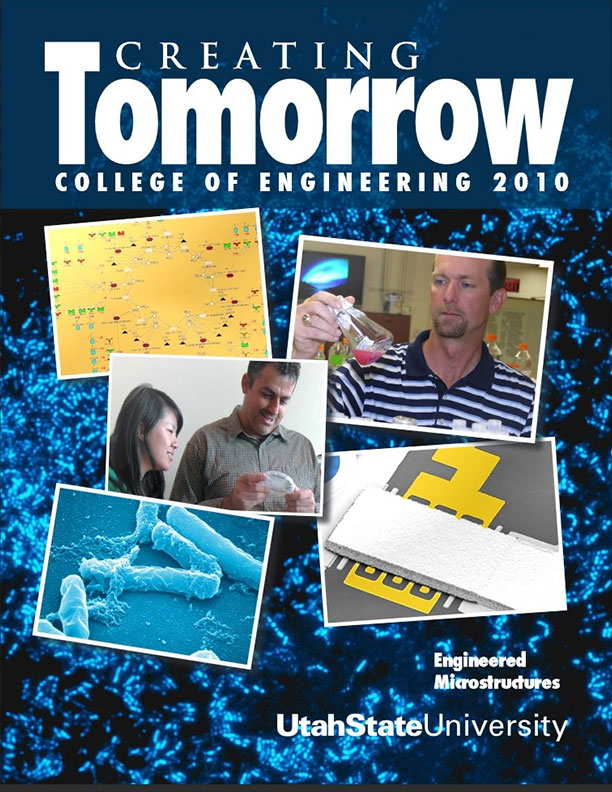 2010 cover