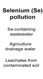 Selenium (Se) pollution, Se-containing wastewater, Agriculture drainage water, Leachates from contaminated soil