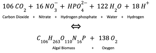 Equation 1