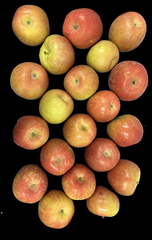 Methods apple 4