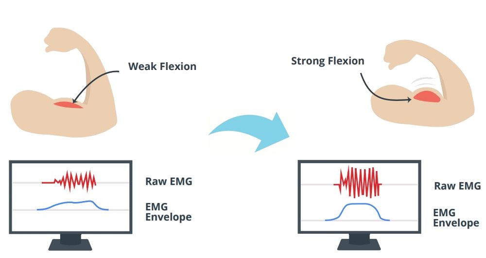 little diagram of strong and weak flexion
