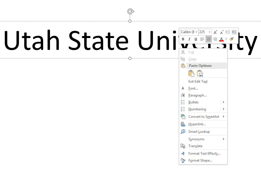 Edit text box screenshot
