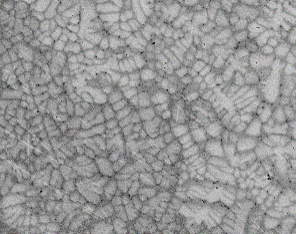 Refractory alloys